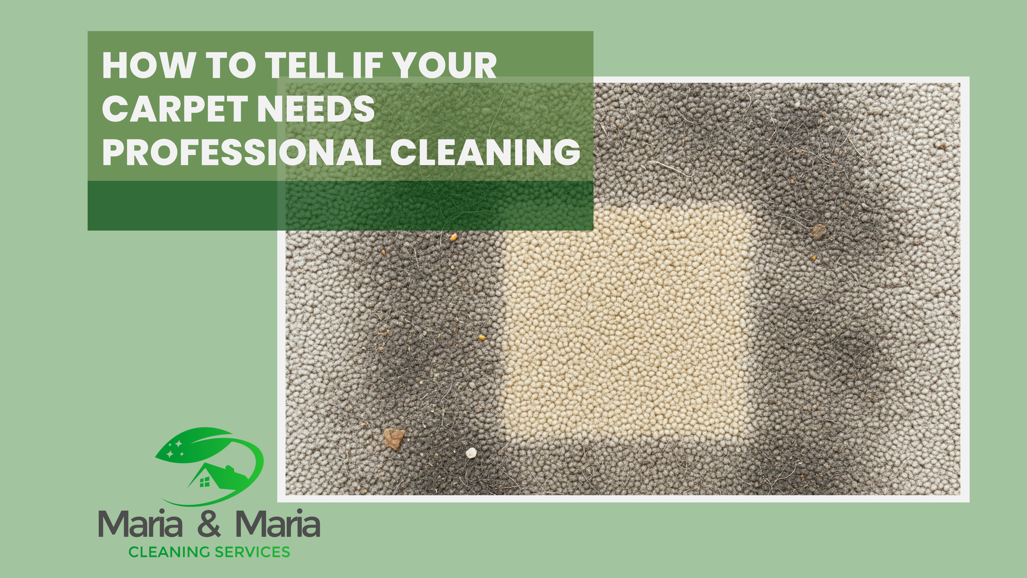Your Carpet Needs Professional Cleaning